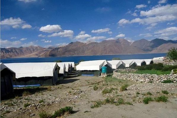 Pangong Delight Camp