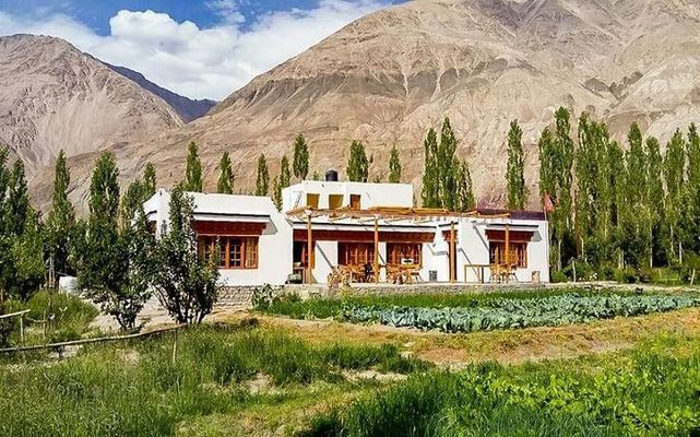 Nubra Ecolodge Leh Ladakh