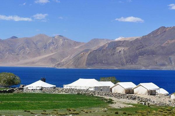 Camp Redstart Pangong Leh Ladakh