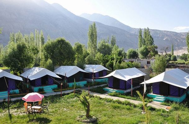 Valley Flower Camp