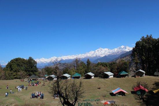 Magpie Jungle Camp Chopta