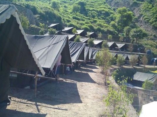 Mogli Camps