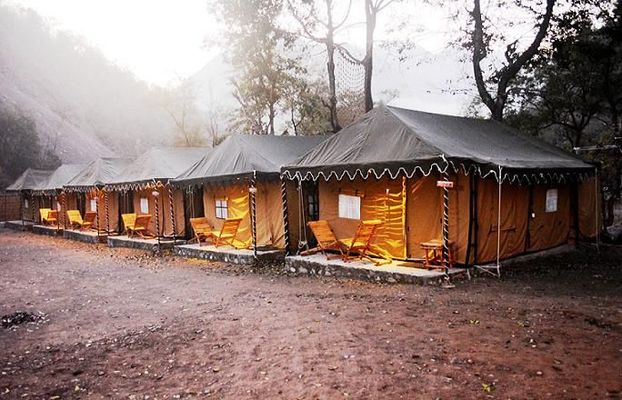 Cradle of Life Jungle Swiss Camp