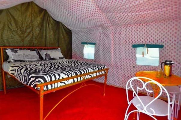 Camp 3 Blind Mice Rishikesh