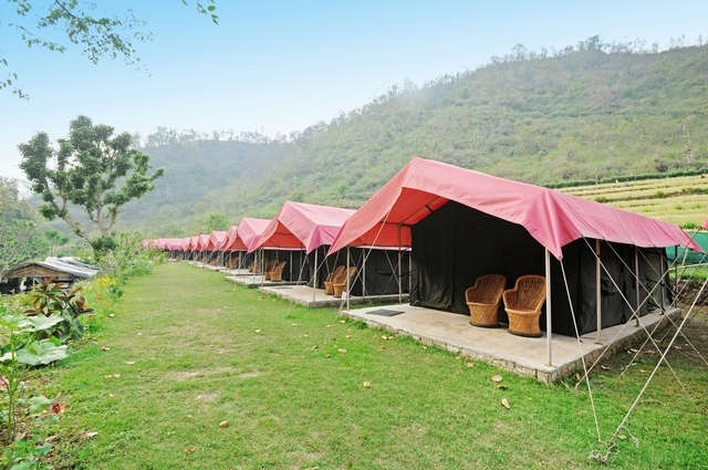 Camp Majestic Rishikesh