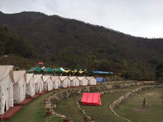 Vatika Luxury Jungle Camp