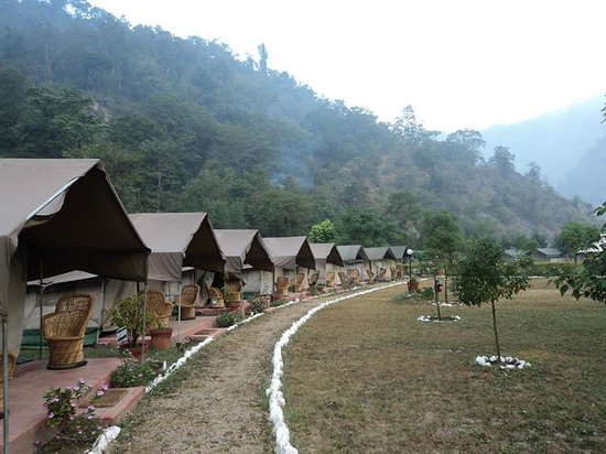 Himalayan Bear Stream Camp