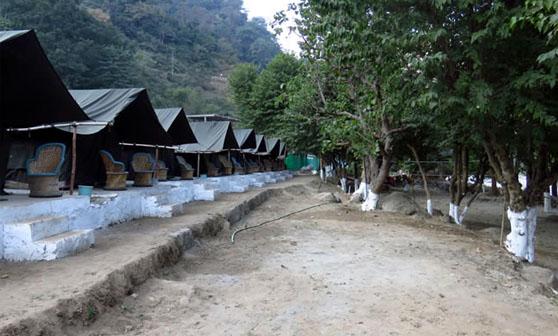 Camp Treepie Rishikesh