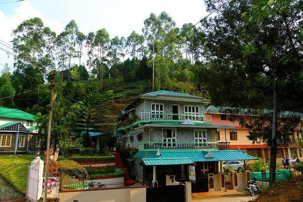 Pavithram Homestay Munnar