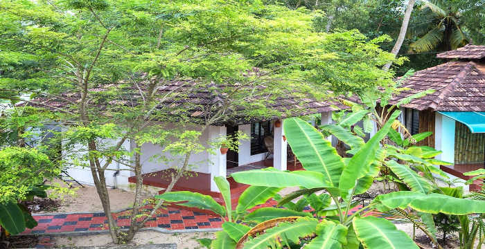 Diana Homestay Alleppey