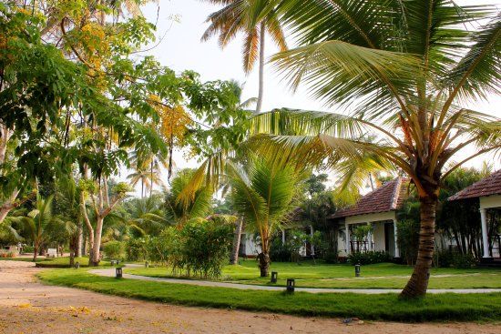 Tree Leaf Marari Sands Beach Resort Alleppey