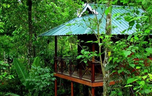 Monsoon Retreats Thekkady