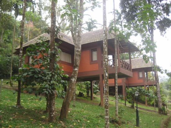 Stream Valley Cottages Wayanad