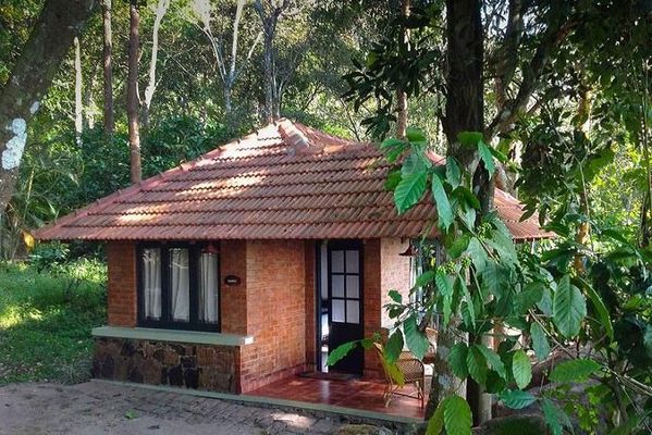 Edakkal Hermitage Wayanad