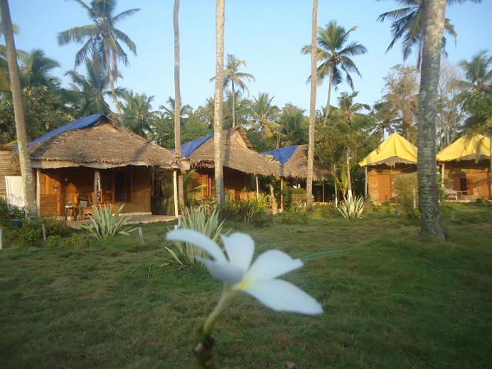 Bamboo Village