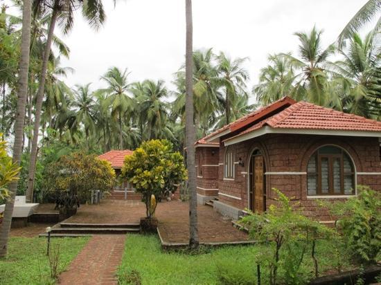 Nirvana at Bekal Kasaragod