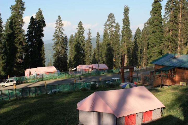 Nature Camp Narkanda