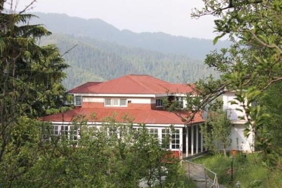 Apple Tree Cottage Narkanda