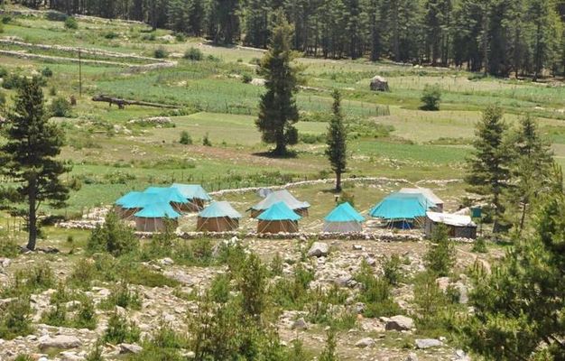 Ibex Camp Sangla