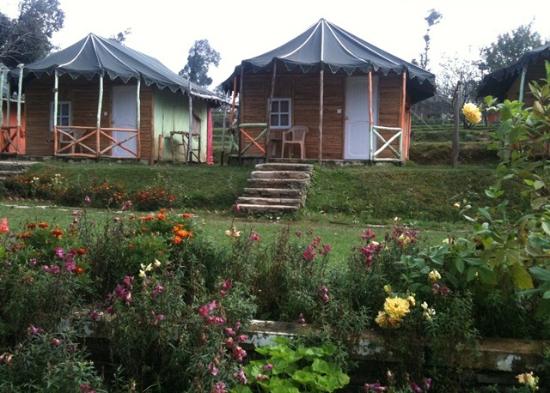 Jungle Livinn Camps And Retreat
