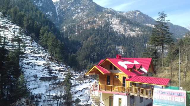 Dev Conifers Green Kullu