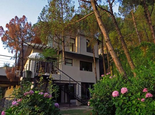 Seclude Kasauli Kasauli