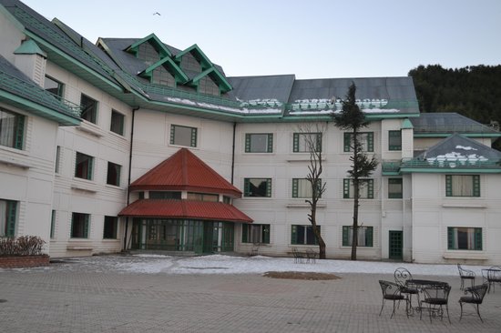 The Apple Blossom Shimla