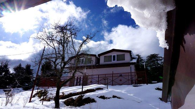 The Cedar Hill Lodge Shimla