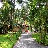 Palm Grove service villa
