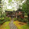 Ambady's Falling Waters