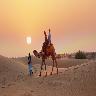 Jaisalmer Tour Package