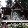 The Hive Cottage