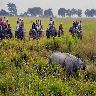 Kaziranga Tour Package 