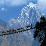 Pelling Tour Package 