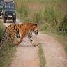 Holiday Package to Kaziranga