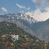 Dharamshala Tours