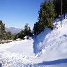 Patnitop Tours