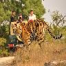 Bandhavgarh Tour Package