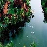 The Lake Village Resort