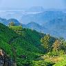 Munnar Honeymoon Packages