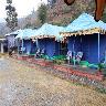 Blue Canvas Resort