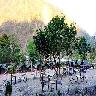 Black Pearl Adventure Resort
