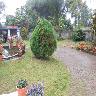 Jyothis Home Stay