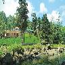 Avondale Luxury Cottage