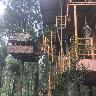 Jungle Jive Tree House