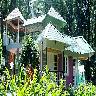 Rainforest Homestay