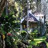 Tall Trees Resort