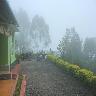 Rosedale Homestay