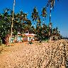 OG's Beach Resort