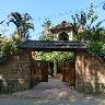 Mickey Homestay